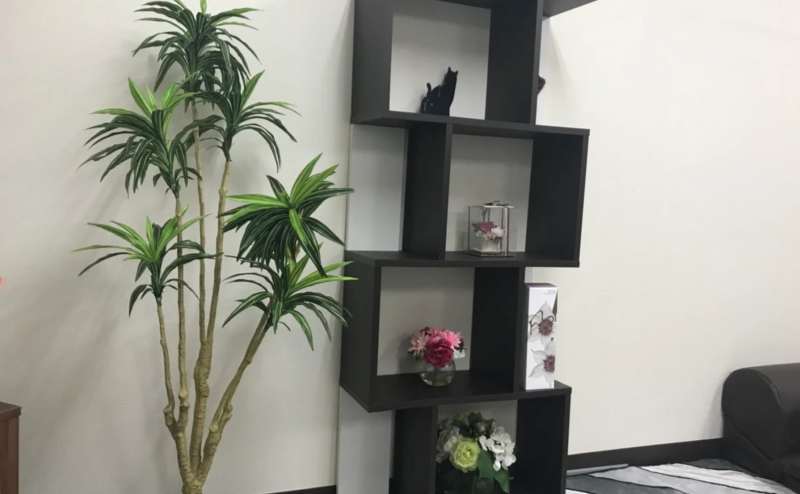 ネコ好きにはたまらないかわいい内装。お部屋の中にネコがいます。ぜひ、探してみてください