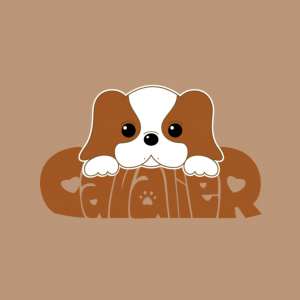 CavalieR