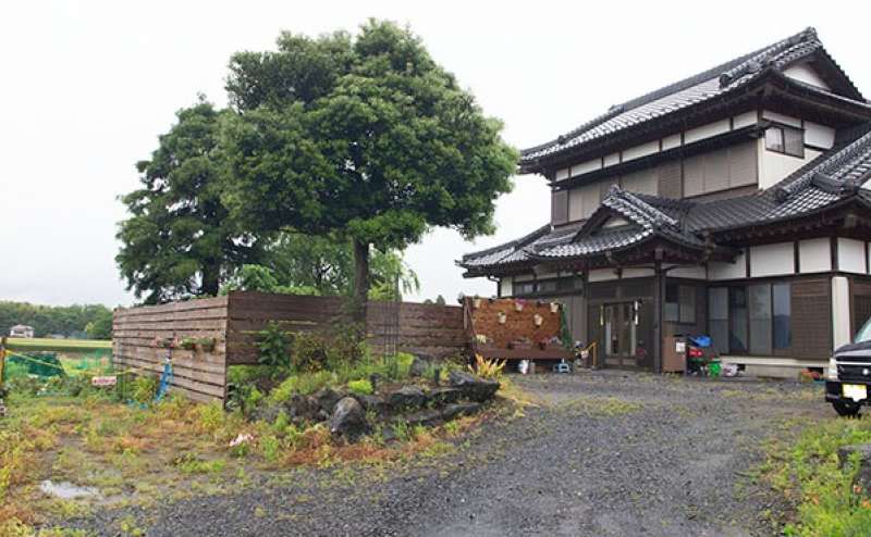 全景