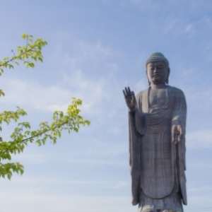 矢島 啓介