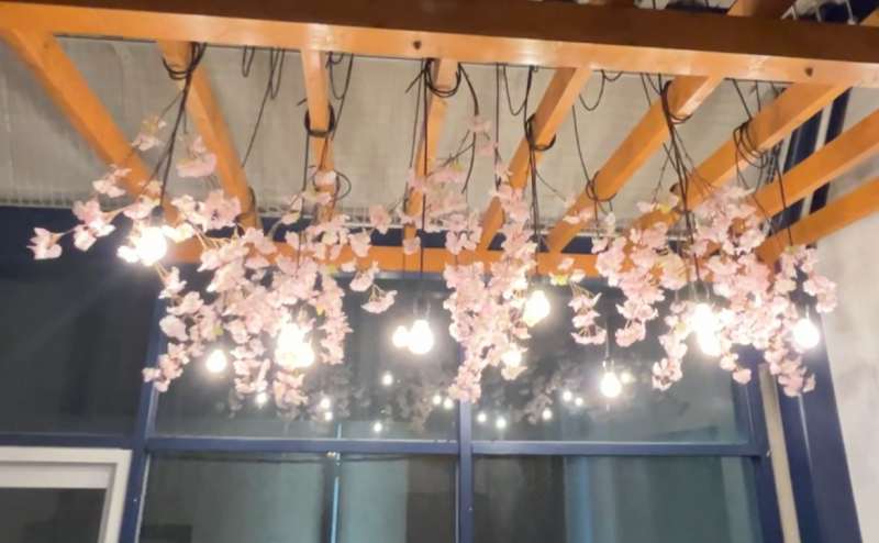4月25日まで限定　インドア花見