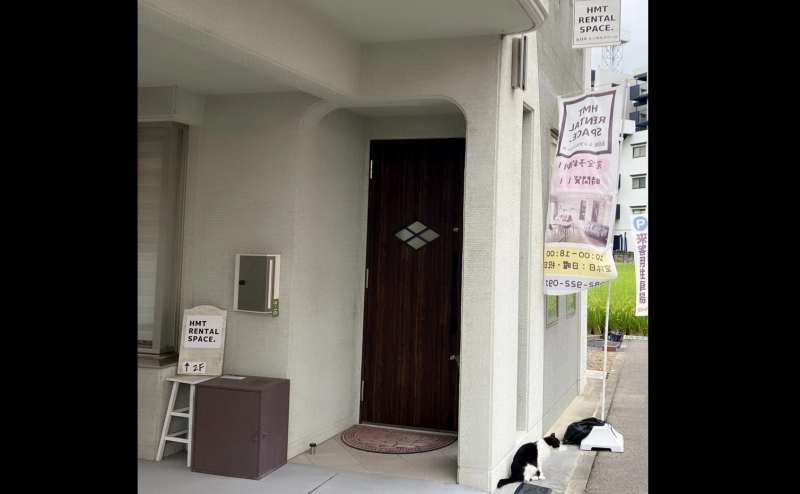 もしかしたら、猫ちゃんに会えるかも・・・🐈🐾